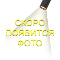 Подвесная люстра LOFT IT 10450/1200
